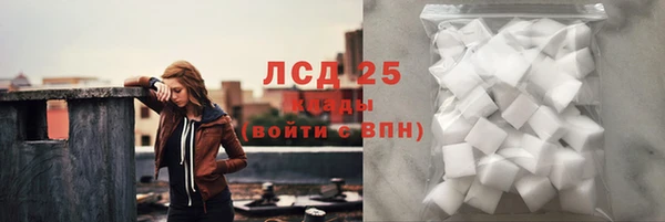 тгк Снежногорск