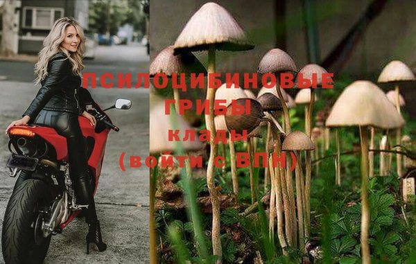 тгк Снежногорск